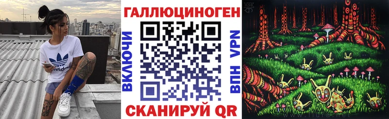 купить наркоту  Мегион  Псилоцибиновые грибы Psilocybe 
